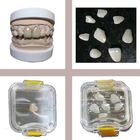 Transparent Dental Lab Tools Elastic Membrance Plastic Tooth Box For Denture